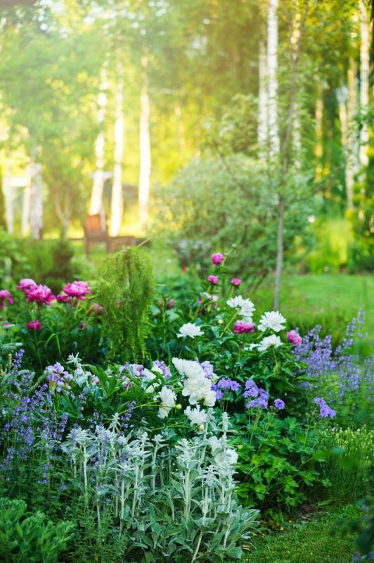 Comment composer un massif v&eacute;g&eacute;tal durable dans son jardin pr&egrave;s de Dole ?
